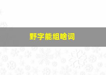 野字能组啥词