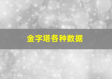 金字塔各种数据