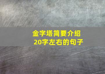 金字塔简要介绍20字左右的句子