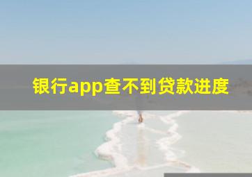 银行app查不到贷款进度