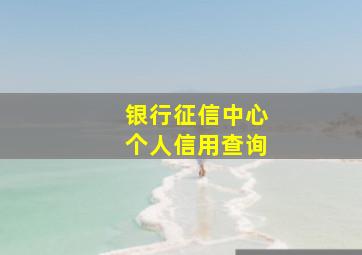 银行征信中心个人信用查询