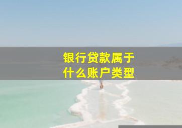 银行贷款属于什么账户类型