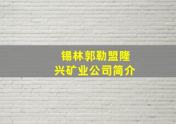 锡林郭勒盟隆兴矿业公司简介