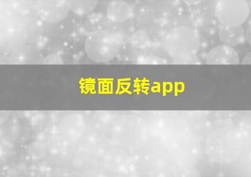 镜面反转app