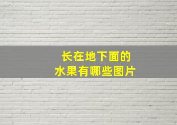 长在地下面的水果有哪些图片