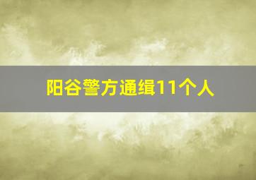 阳谷警方通缉11个人