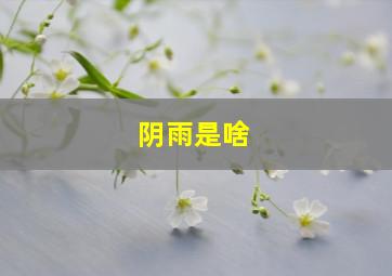 阴雨是啥