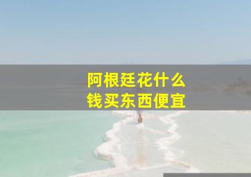 阿根廷花什么钱买东西便宜