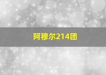 阿穆尔214团