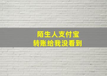 陌生人支付宝转账给我没看到