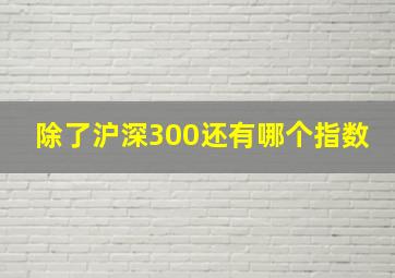 除了沪深300还有哪个指数