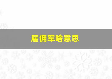 雇佣军啥意思