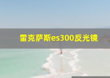 雷克萨斯es300反光镜