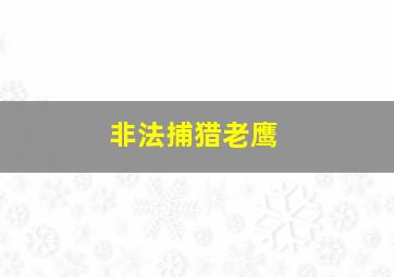 非法捕猎老鹰