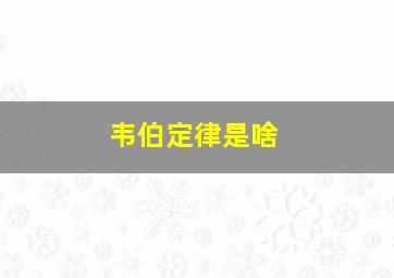 韦伯定律是啥