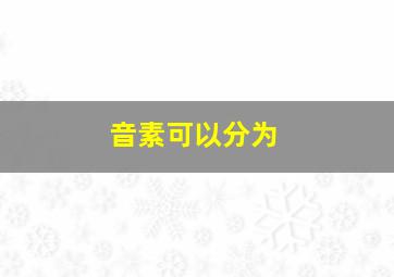 音素可以分为