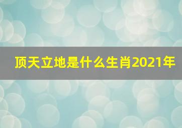 顶天立地是什么生肖2021年