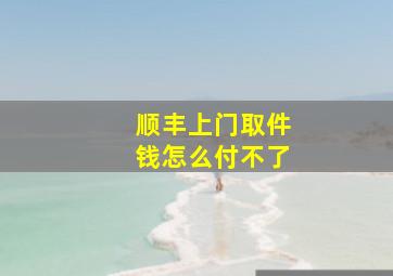 顺丰上门取件钱怎么付不了