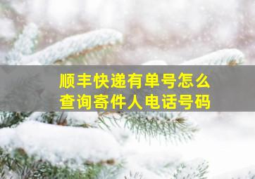 顺丰快递有单号怎么查询寄件人电话号码