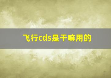 飞行cds是干嘛用的