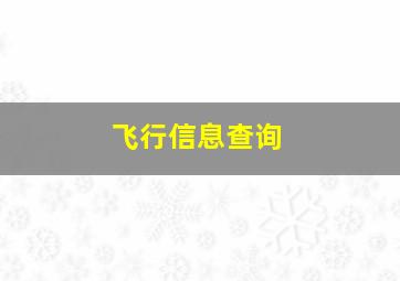 飞行信息查询