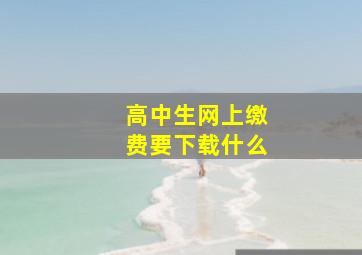 高中生网上缴费要下载什么