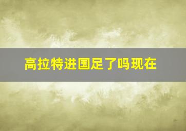 高拉特进国足了吗现在