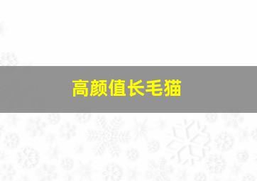 高颜值长毛猫