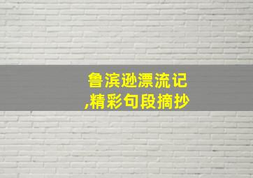 鲁滨逊漂流记,精彩句段摘抄