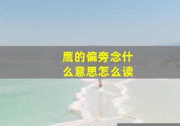 鹰的偏旁念什么意思怎么读