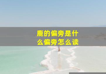 鹿的偏旁是什么偏旁怎么读