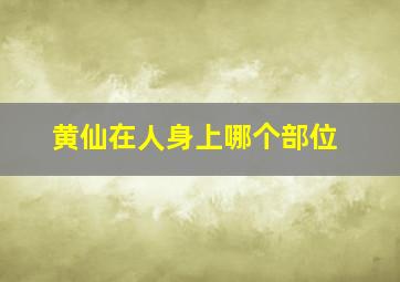 黄仙在人身上哪个部位