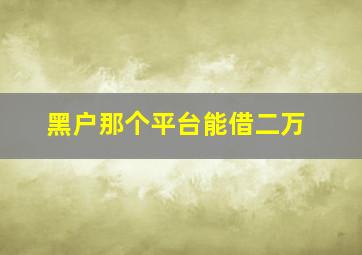 黑户那个平台能借二万