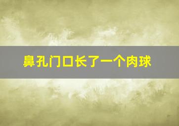 鼻孔门口长了一个肉球