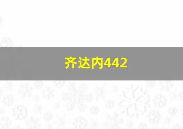 齐达内442