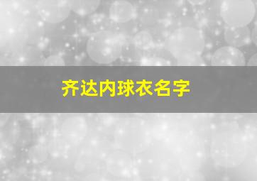 齐达内球衣名字